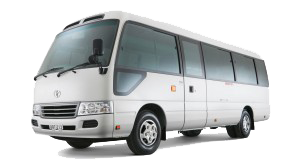 30 SeatsToyota Buses
